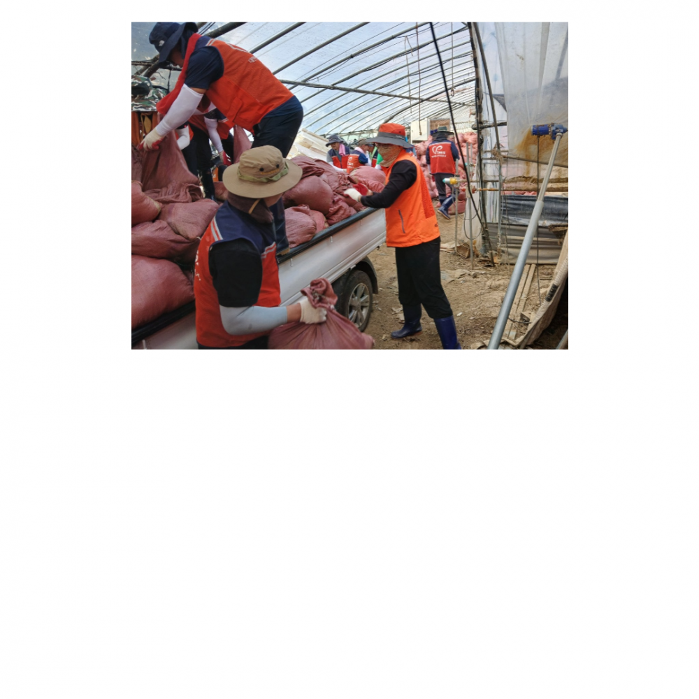 af2c2073fe90b8d8a1b7c73d744c4398_1762996